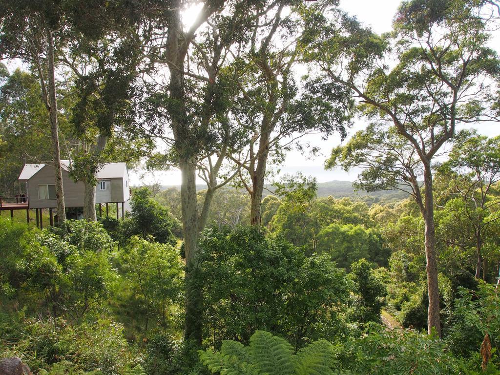 Bundle Hill Cottages Bawley Point Phòng bức ảnh